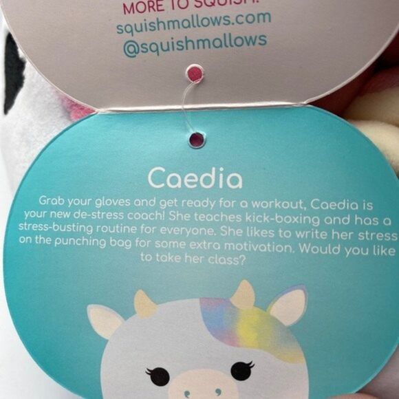 RARE 2022 Squishmallow Caedia Cow Squish Stackable Stack Spring NWT Plush Toy - Picture 5 of 7